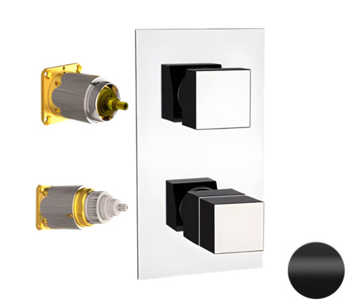 Смеситель для душа Remer Q-Elegance QT92KBNO, черный матовый