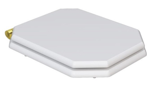 Сиденье для унитаза Caprigo Tempo KFe-47G-B231