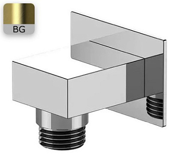 Шланговое подключение для душа Remer 309WBG, золото брашированное