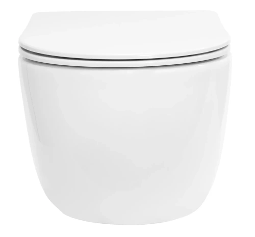 Унитаз подвесной Rea Olivier C6509
