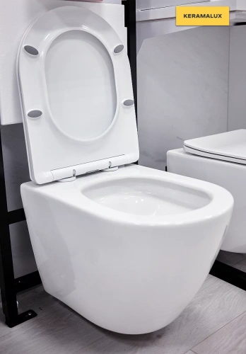 Унитаз подвесной CeramaLux TR2196 TORNADO