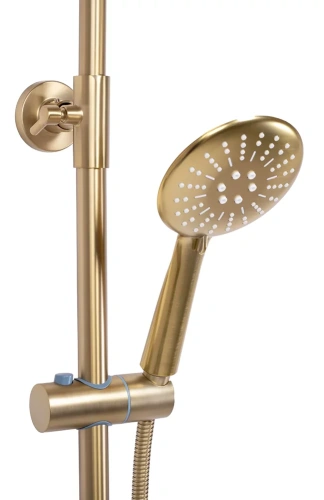 Душевая система Rea Lungo gold matt P6604