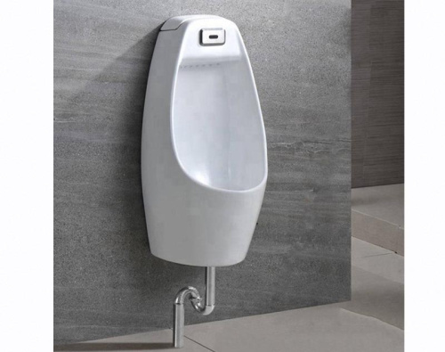 Писсуар CeramaLux X546S