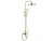 Душевая система Rea Bloom gold P9528 Душевая система Rea Bloom gold P9528