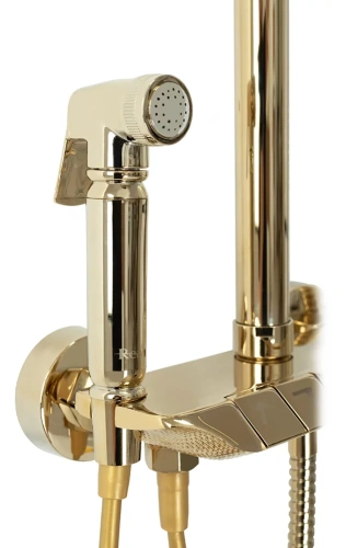 Душевая система Rea Max gold P6617