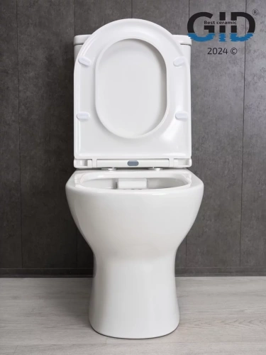 Унитаз напольный Gid Tn2123