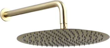Верхний душ с кронштейном Caprigo 98-524-brg