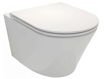 Унитаз подвесной Jacob Delafon Rodin EDY102-00