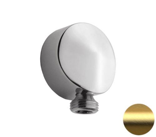 Шланговое подключение для душа Remer 309LBG, золото брашированное