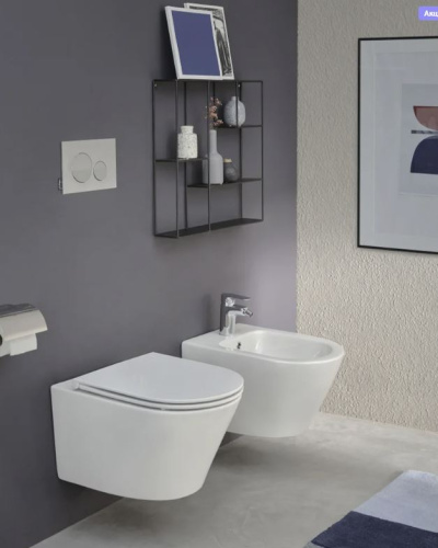 Унитаз подвесной Jacob Delafon Rodin EDY102-00