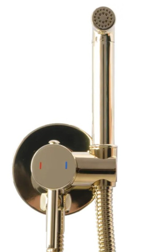 Гигиенический душ Rea Lungo Loop gold B8979