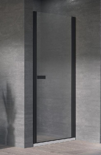 Душевая дверь Kolpa-San Andromeda N 100 black transparent 516770