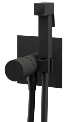 Гигиенический душ Remer Edge EG565NO, черный матовый
