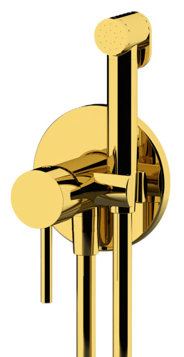 Гигиенический душ Remer X Style X65WDO, золото глянцевое