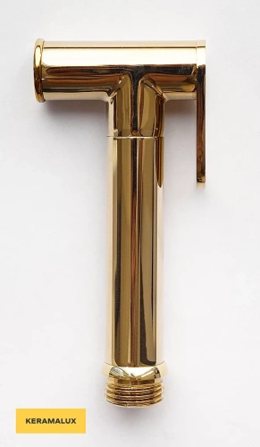 Лейка CeramaLux KRL/002 золото светлое